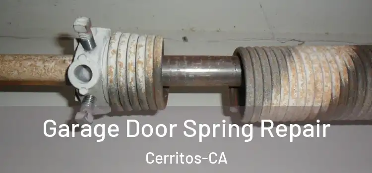 Garage Door Spring Repair Cerritos-CA
