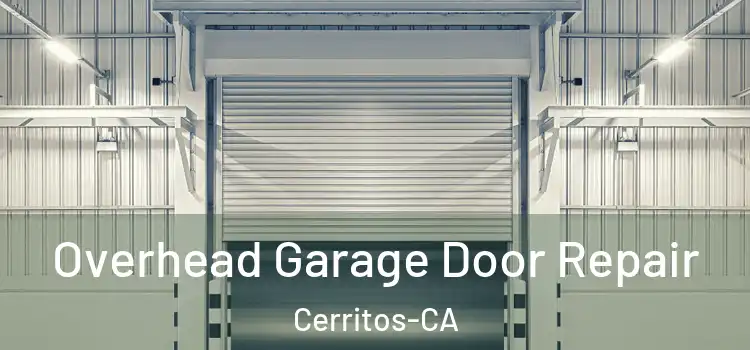 Overhead Garage Door Repair Cerritos-CA